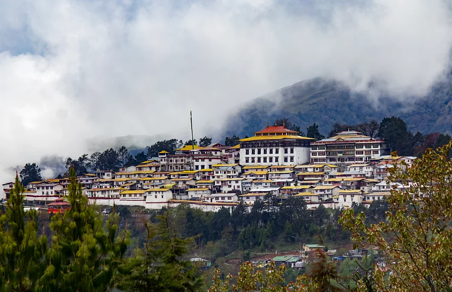 Буддистский монастырь в городе Тутинг