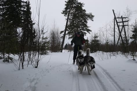 Лыжный поход по Костромской области. Отчёт Марины Галкиной.