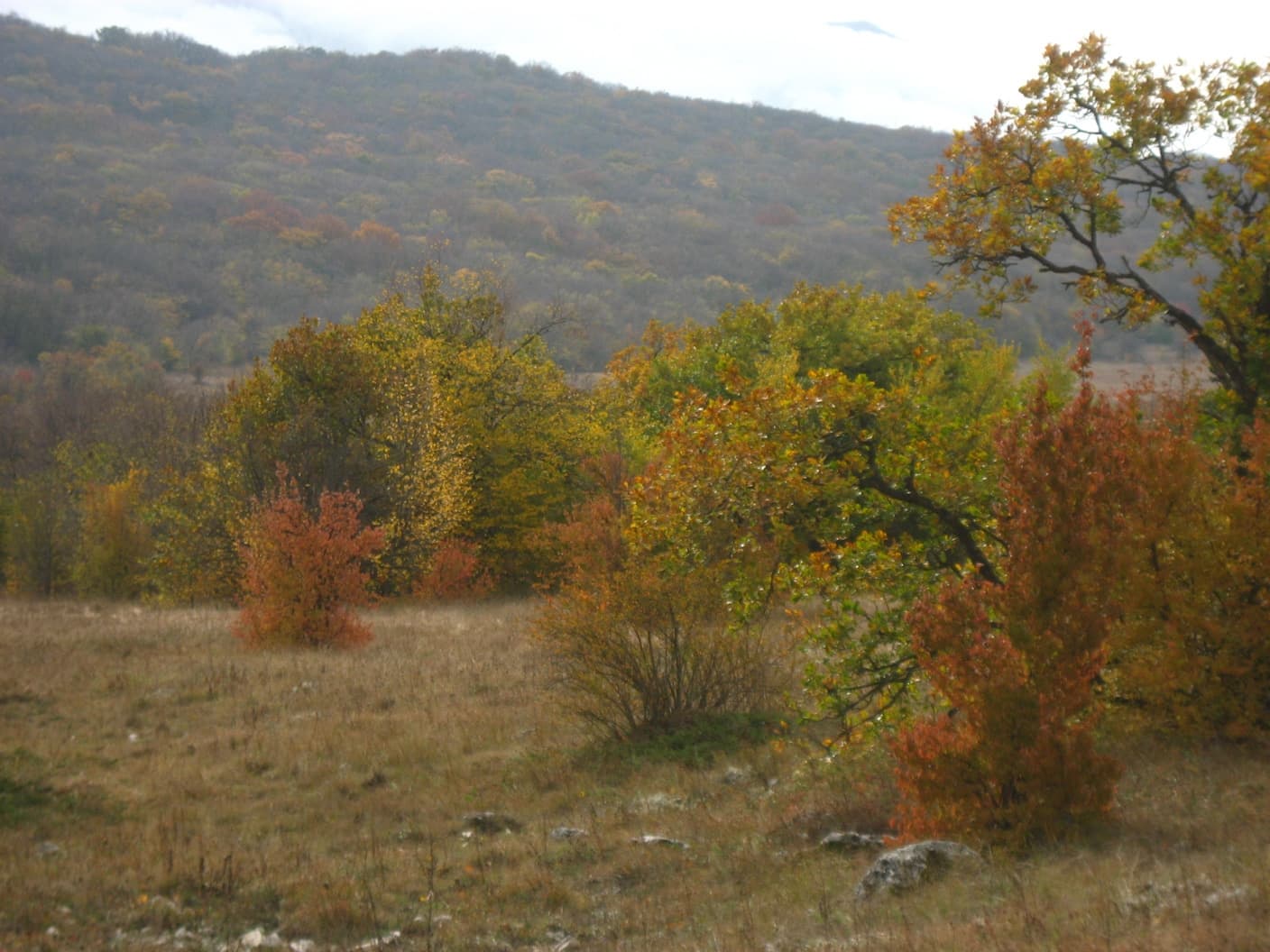 по горному Крыму осенью