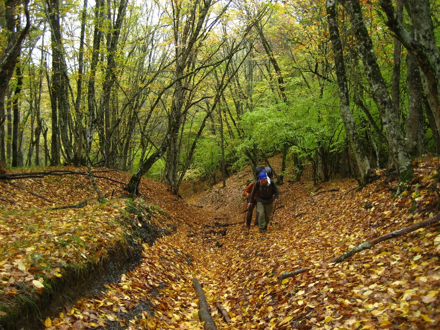 по горному Крыму осенью