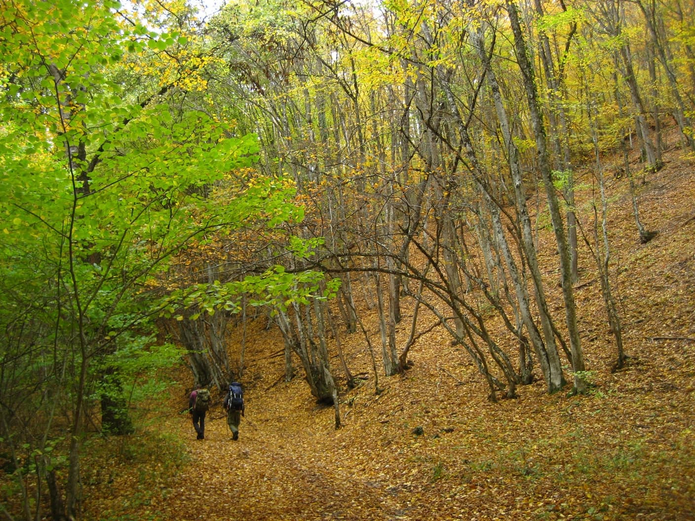 по горному Крыму осенью