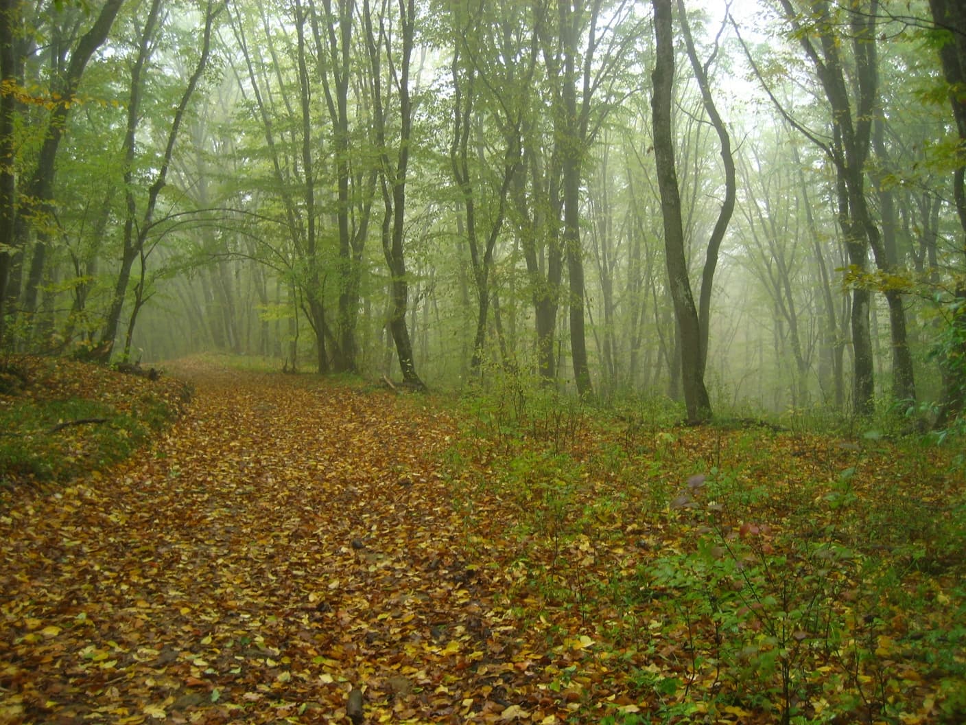 по горному Крыму осенью