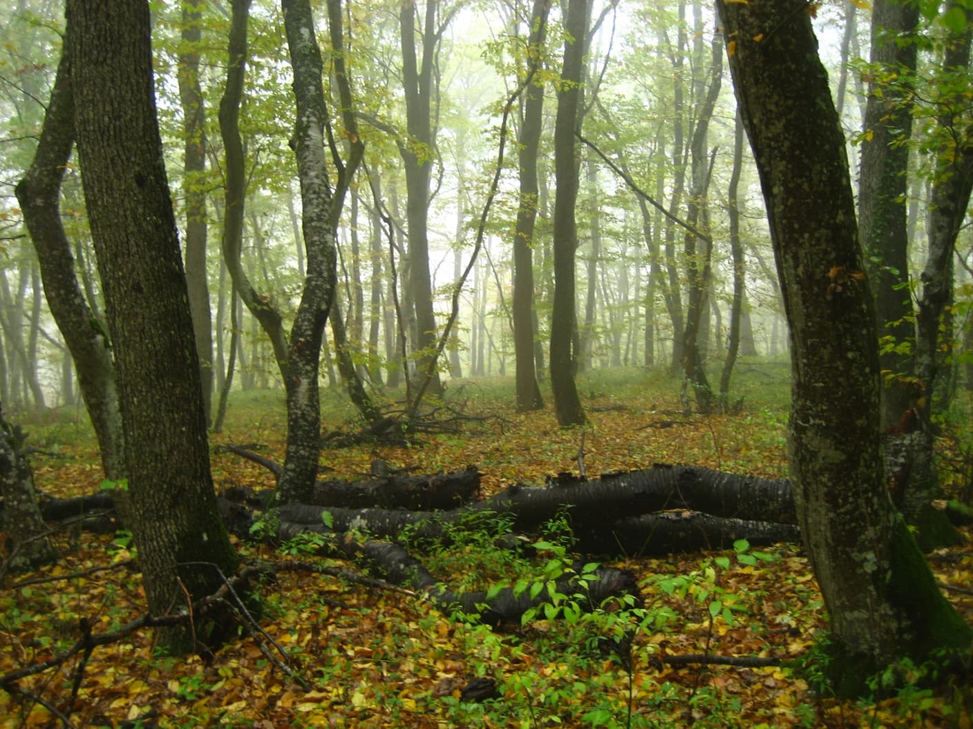 по горному Крыму осенью