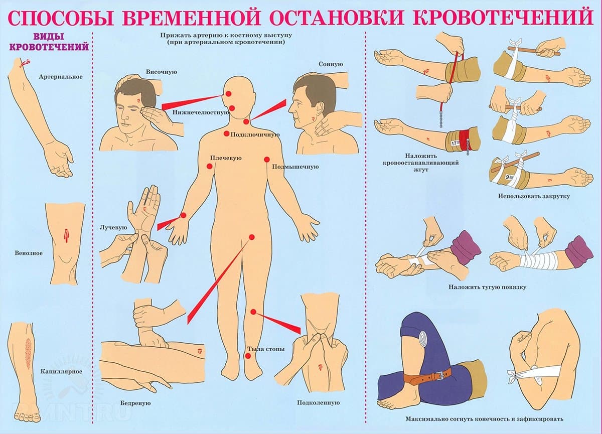 Кровоостанавливающие таблетки без рецепта. original. Кровоостанавливающие таблетки без рецепта фото. Кровоостанавливающие таблетки без рецепта-original. картинка Кровоостанавливающие таблетки без рецепта. картинка original. Сеть аптек 36,6 даёт приобрести кровоостанавливающие препараты по выгодной цене с возможностью доставки в одной из 1200 аптек Москвы и Санкт-Петербурга, Московской и Ленинградской областей. Поиск необходимого лекарства заметно упрощается благодаря тому, что искать средство можно по цене, производителю, форме выпуска и основному компоненту.