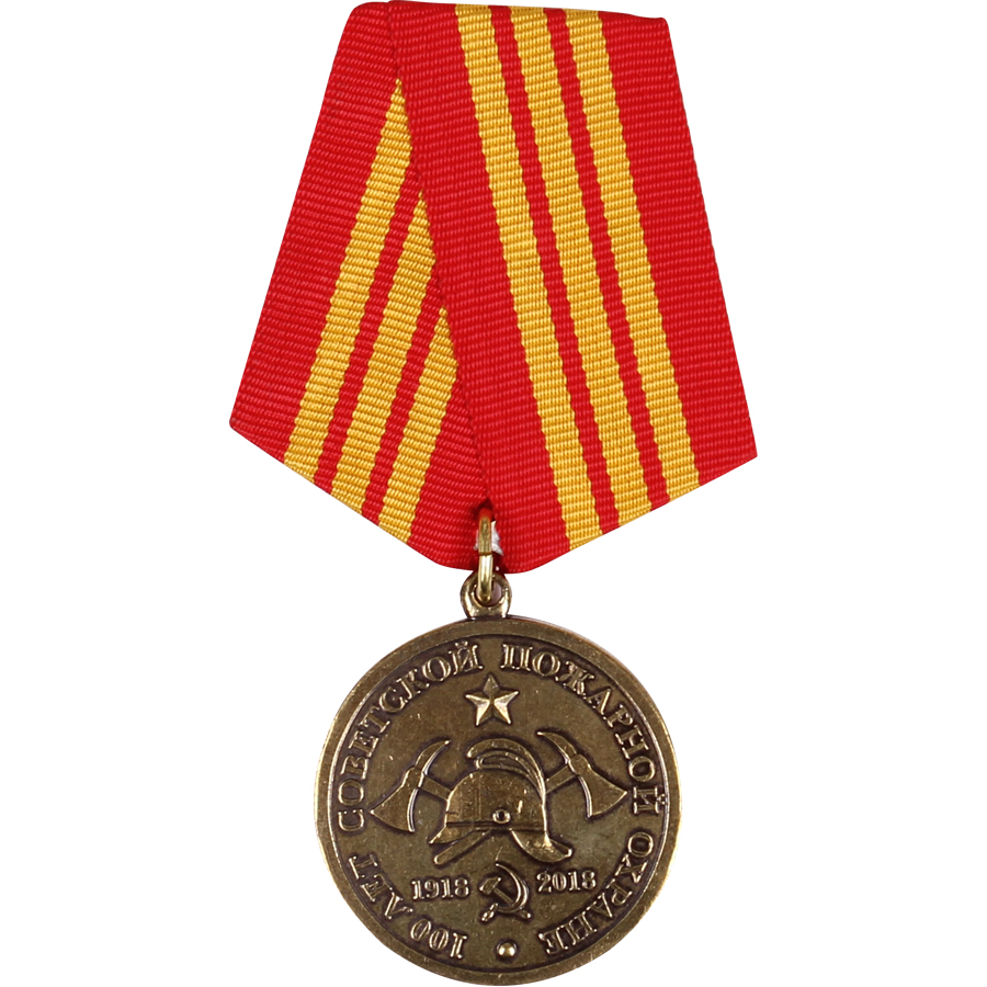 100 Летие Медали Купить