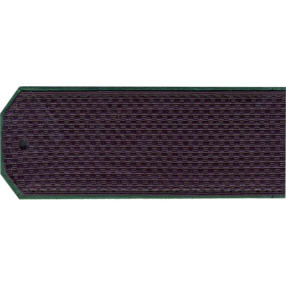 Погоны фсб нового образца