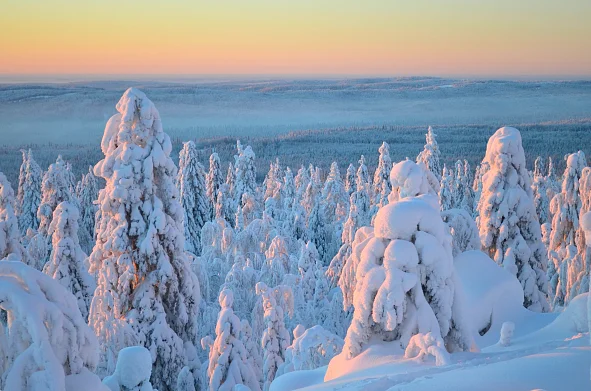 Новый год в России: шесть необычных мест для встречи праздника