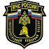 Нашивка на рукав МЧС России Государственный пожарный надзор пластик