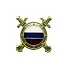 Эмблема петличная Внутренняя служба МВД триколор металл