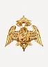 Эмблема петличная Росгвардия металл