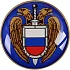 Миниатюрный знак ФСО металл