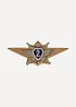 Нагрудный знак Классность о/с 2 металл