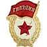 Нагрудный знак Гвардия СССР со звездой металл