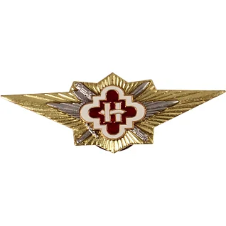 Нагрудный знак УИС Наставник металл