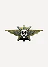 Нагрудный знак Классность о/с 2 томпак