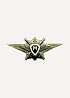 Нагрудный знак Классность о/с М томпак