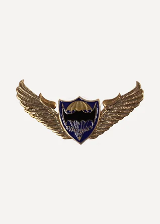Нагрудный знак ВДВ крылья парашют мышь спецназ металл