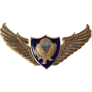 Нагрудный знак ВДВ крылья парашют орёл металл