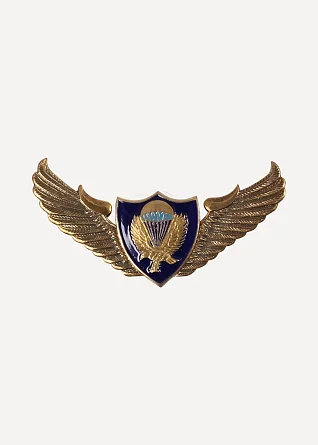 Нагрудный знак ВДВ крылья парашют орёл металл