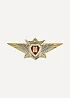 Нагрудный знак Классность о/с ВВ МВД М металл