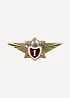Нагрудный знак МЧС Специалист 1 класса металл