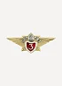 Нагрудный знак МЧС Специалист 3 класса металл