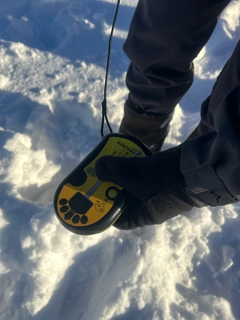 Лавинное снаряжение