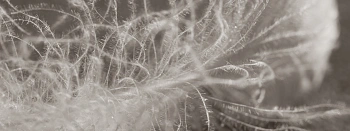 Fill Power — важнейший показатель качества пухового утеплителя