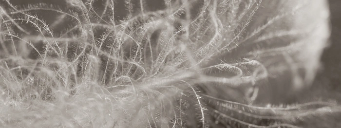 Fill Power — важнейший показатель качества пухового утеплителя