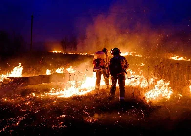 Природные пожары: причины и методы борьбы