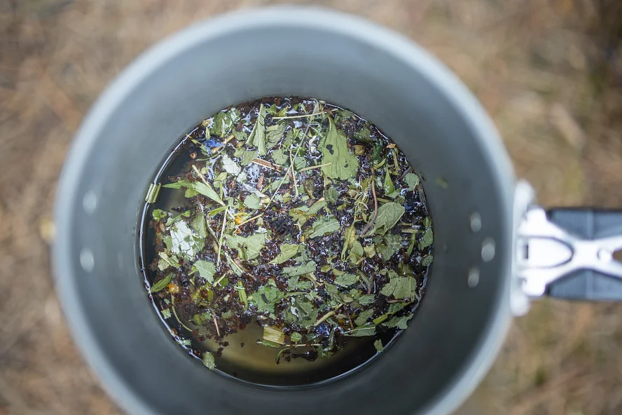 Чай с дикими травами в походе