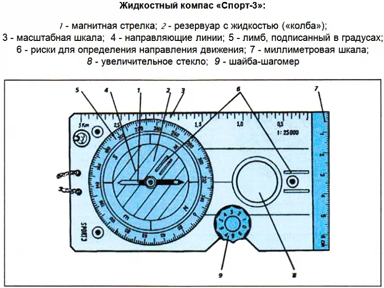 Строение спортивного компаса