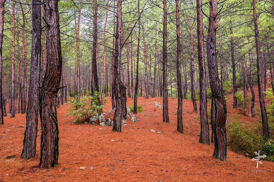 Ликийская тропа