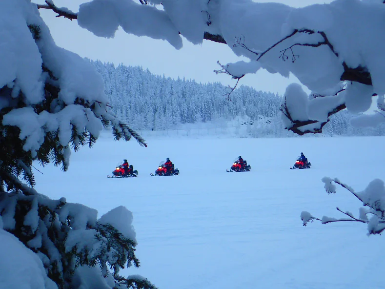 Сафари на снегоходах
