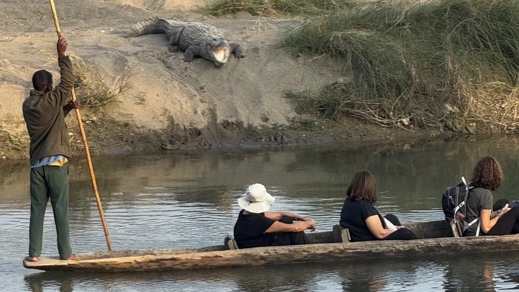 Сафари в Читване