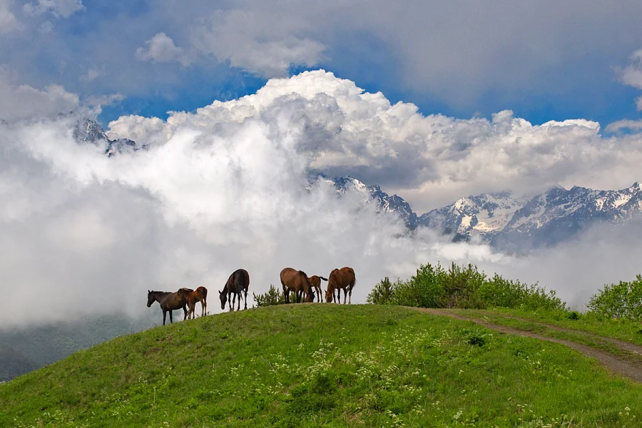 Треккинг в Северной Осетии
